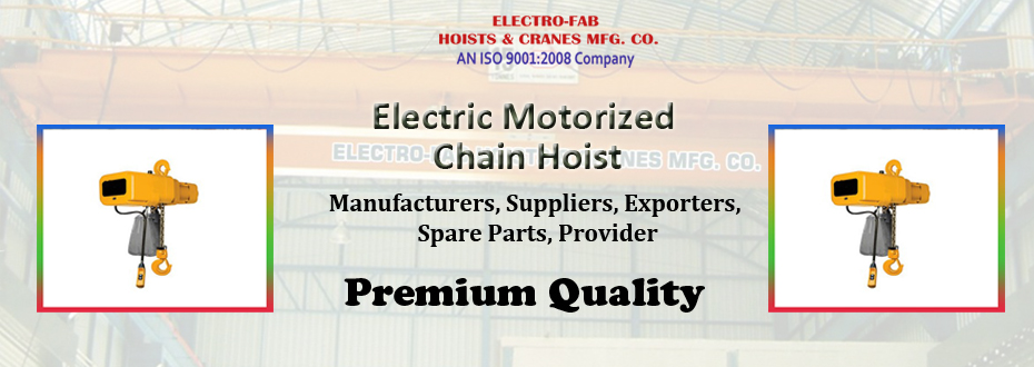Electric Motorized Chain Hoist Suppliers