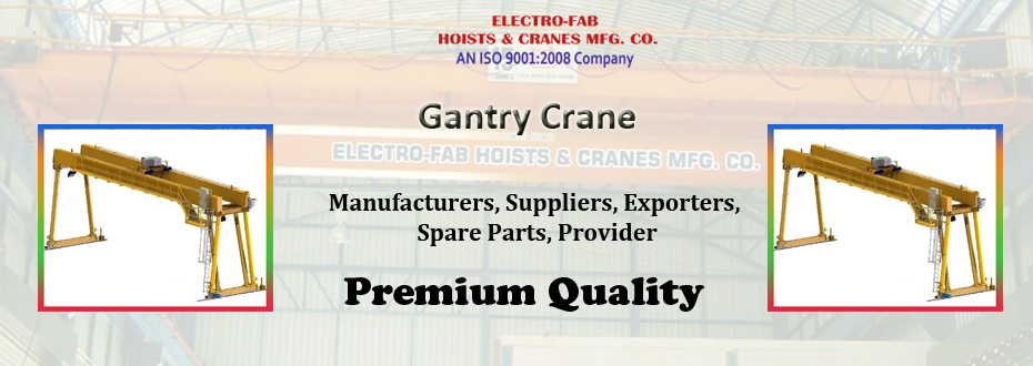 Gantry Crane Providers