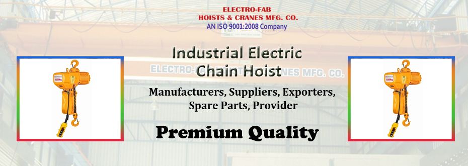 Industrial Electric Chain Hoist Suppliers
