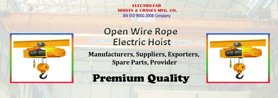 Open Wire Rope Electric Hoist Providers
